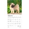 Pug Puppies | 2026 7 x 14 Inch (Hanging) Monthly Mini Wall Calendar